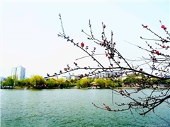 我市旅游经济实现“开门红”