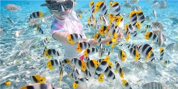 【爱尚斯米兰】普吉岛斯米兰六日游