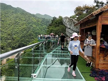 益阳安化•天下茶道、云台山、茶香花海2日游