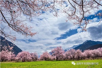 圣洁西藏双卧11日