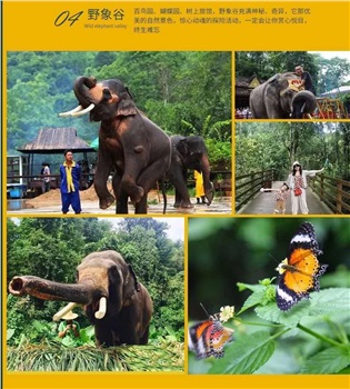 昆明西双版纳亲子度假三飞六日游