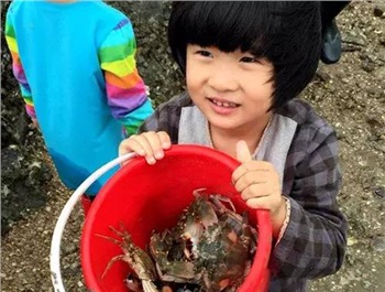 厦门亲子双飞五日游