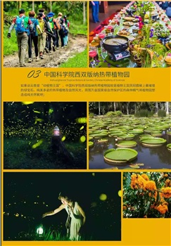 昆明西双版纳亲子度假三飞六日游