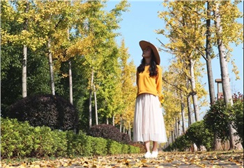 城头山遗址公园粉黛花海一日游  
