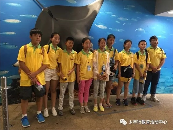【夏令营】动感香港欢乐行