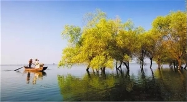 春暖花开南洞庭踏青、云梦七色花洲一日游  