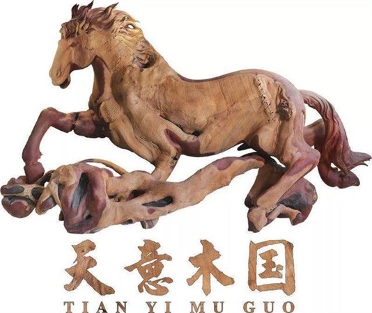 　益阳天意木国+现代农业嘉年华汽车一日游