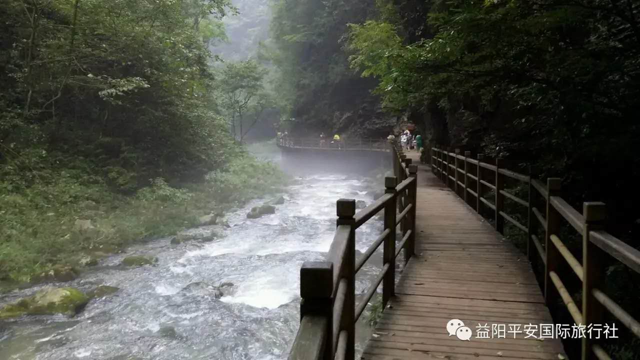 　张家界大峡谷、玻璃桥、黄龙洞品质纯玩两日游c2