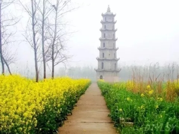 春暖花开南洞庭踏青、云梦七色花洲一日游  