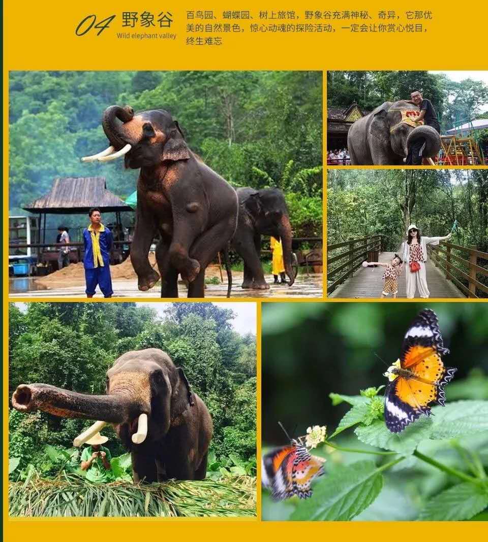 昆明西双版纳亲子度假三飞六日游