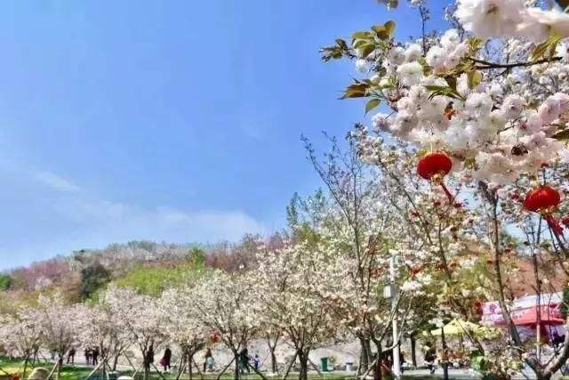 长沙浔龙河樱花谷、田汉文化园一日游